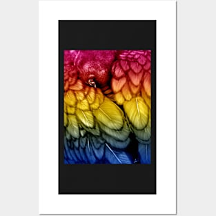 Blackbird - Pansexual Pride Edition Posters and Art